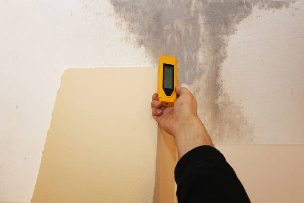 Asbestos and Lead Testing During Mold Inspection in Baldwin, PA